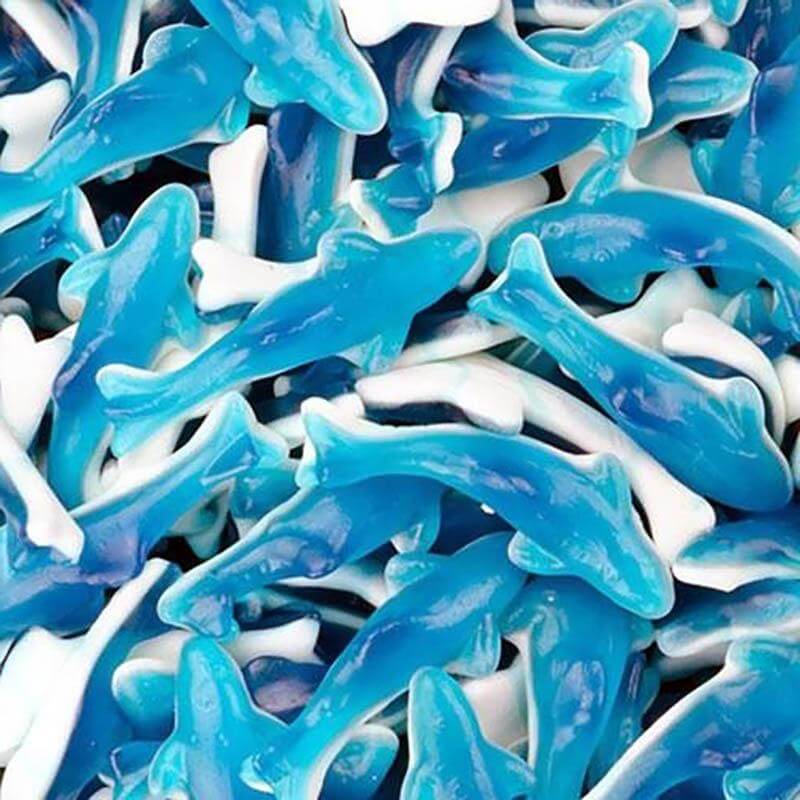 Giant Dolphins 100g - theschweetplug.com